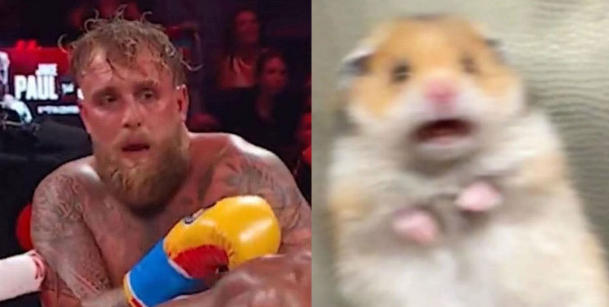 Jake Paul vs Anthony Joshua - The Aftermath